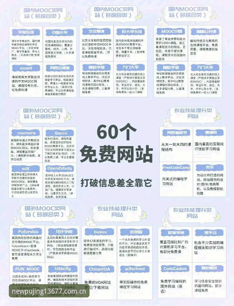 揭秘2026新浦京13677网址：体育爱好者必知的官方入口真相