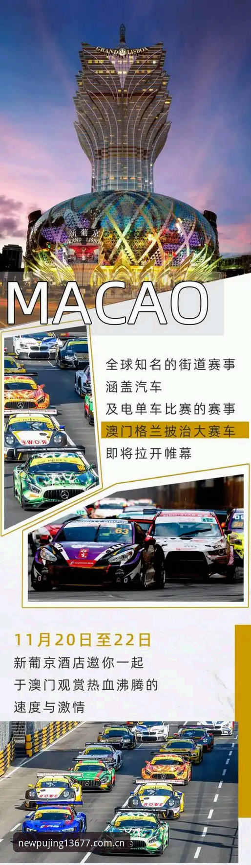 新浦京13677正版 新浦京体育最新动态:深度解析新浦京13677正版使用体验与下载指南